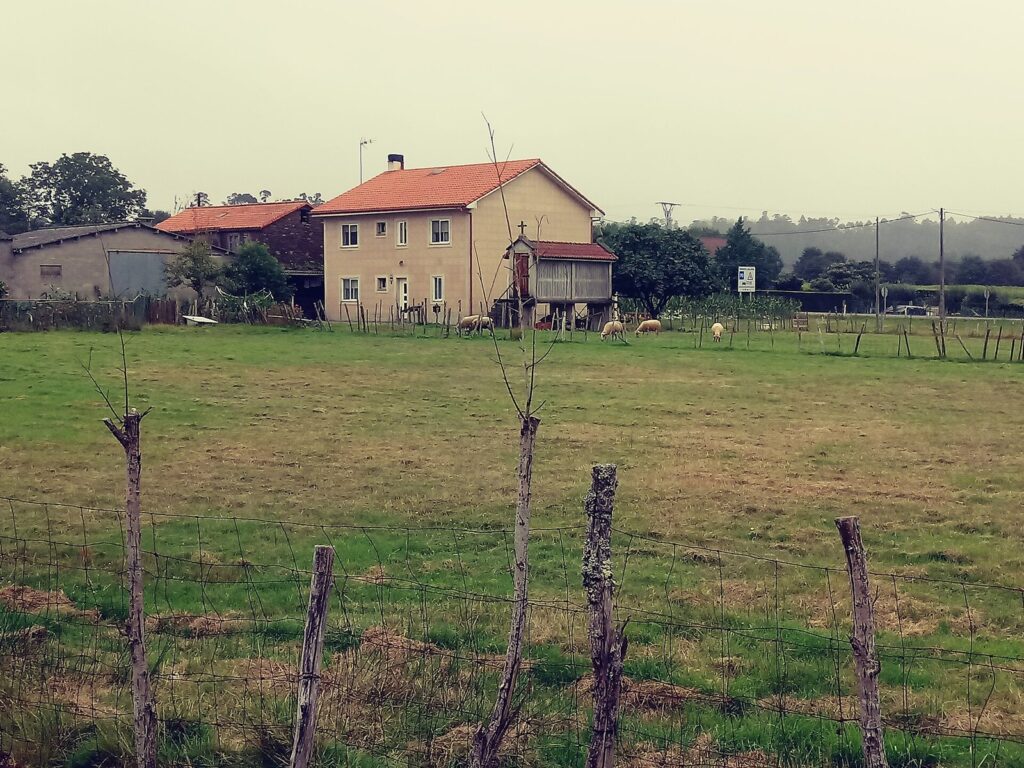 Casa de aldea con leira de 6.000 m²